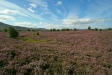 Tulloch Moor